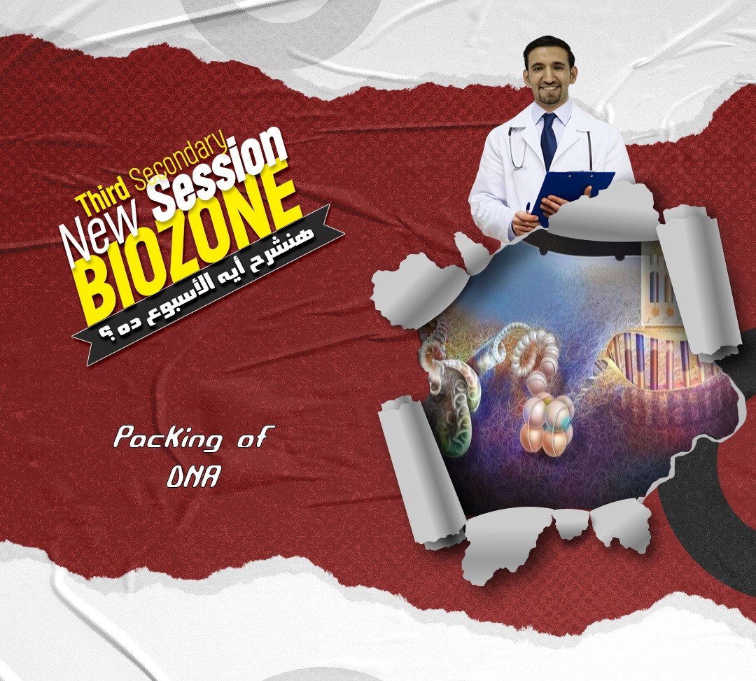 شرح المحاضرة التالتة